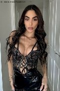 Foto Hot Tentazioni Hot Girl Padova Ginevra Grey 0046737588889 - 1