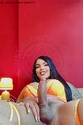 Foto Hot Tentazioni Hot Trans Milano Luana Castrinni 3931001131 - 11