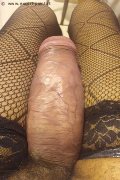 Foto Hot Tentazioni Hot Trans Milano Virna La Super Dotata 3494393969 - 3