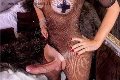 Foto Hot Tentazioni Hot Transescort Legnano Ale Cavallona 3508935739 - 7