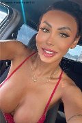 Gallarate Trans Thayys Castro 329 72 89 046 foto selfie 3