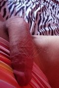 Isernia Trans Alessandra Dior 371 52 12 112 foto selfie 88