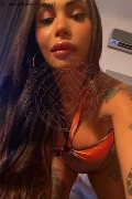 Bergamo Trans Escort Haycka Pornostar 393 11 91 544 foto selfie 2