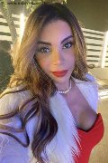 Bologna Trans Escort Ariadna 388 75 19 396 foto selfie 8