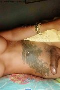 Gallarate Trans Escort Thayys Castro 329 72 89 046 foto selfie 108
