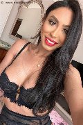 Gallarate Trans Escort Thayys Castro 329 72 89 046 foto selfie 31