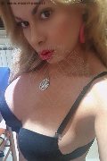 Milano Trans Escort Brandy 388 38 60 479 foto selfie 28