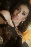 Mogliano Veneto Trans Escort Lara 329 34 14 239 foto selfie 16