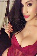 Monza Trans Escort Flavia Araujo 389 28 81 250 foto selfie 26