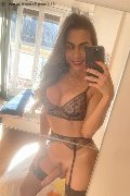  Trans Escort Nina La Vera Dea 375 98 84 313 foto selfie 71