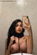 Novara Trans Escort Miele 331 78 08 280 foto selfie 37