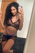 Novara Trans Escort Miele 331 78 08 280 foto selfie 51