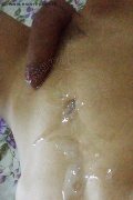 Parma Trans Escort Laviny Albuquerque Pornostar 389 00 19 370 foto selfie 182
