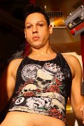 Foto Tentazioni Hot Boy San Paolo Alejandro El Toro 005511949066337 - 4
