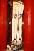 Foto Tentazioni Hot Boy San Paolo Alejandro El Toro 005511949066337 - 11