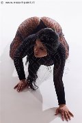 Foto Tentazioni Hot Escort Avellino Erika 3385964983 - 17