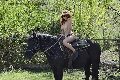 Foto Tentazioni Hot Escort Chiavari Karyna 3342341880 - 24