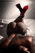 Foto Tentazioni Hot Escort Viareggio Emma Brasil 3474887733 - 6