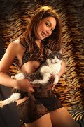 Foto Tentazioni Hot Girl Verbania Alessa Venezuelana 3533541305 - 36