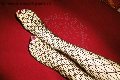 Foto Tentazioni Hot Mistress Imperia Dottoressa De Sade 3341501258 - 38