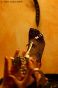 Foto Tentazioni Hot Mistress Marina Di Carrara Lady De Sade Italy 3392160761 - 6