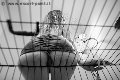 Foto Tentazioni Hot Mistress Verona Lady Giuliette 3486833721 - 16