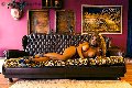 Foto Tentazioni Hot Trans Brescia Jessica Aryani 3932507943 - 23