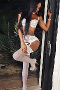Foto Tentazioni Hot Trans D�sseldorf Adhara 004915212409124 - 63