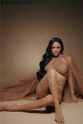 Foto Tentazioni Hot Trans Fortaleza Keylla Marques Pornostar Xxl 3337112655 - 14