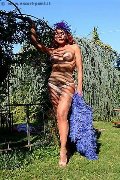 Foto Tentazioni Hot Trans Milano Claudia B. 3425725367 - 3