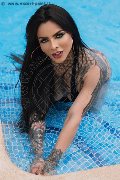 Foto Tentazioni Hot Trans Milano Evelyn Santos 3921451683 - 3