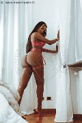 Foto Tentazioni Hot Trans Milano Maya Venere 3936122116 - 157