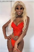 Foto Tentazioni Hot Trans Milano Virna La Super Dotata 3494393969 - 2