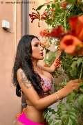 Foto Tentazioni Hot Trans Modena Anita Bellezza Esotica 3532044743 - 119