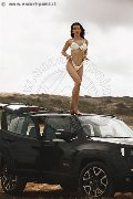 Foto Tentazioni Hot Trans Modena Vanessa Hilton 3245846577 - 110