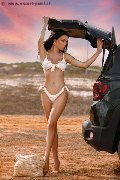 Foto Tentazioni Hot Trans Modena Vanessa Hilton 3245846577 - 109