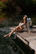 Foto Tentazioni Hot Trans Modena Vanessa Hilton 3245846577 - 59