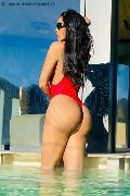 Foto Tentazioni Hot Trans Ospitaletto Graziella Farias 3515874125 - 81