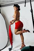 Foto Tentazioni Hot Trans Ospitaletto Graziella Farias 3515874125 - 39
