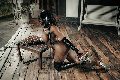 Foto Tentazioni Hot Trans Padova Campbell 3933357541 - 138