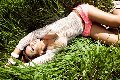 Foto Tentazioni Hot Trans Reggio Emilia Isabella Dumond 3465245916 - 160