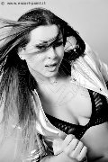 Foto Tentazioni Hot Trans Riccione Allana 3318788751 - 51