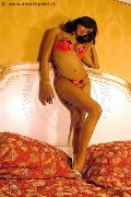 Foto Tentazioni Hot Trans Roma Alessia Transex 3886981788 - 76