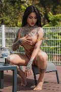 Foto Tentazioni Hot Trans Roma Evelyn Santos 3921451683 - 17