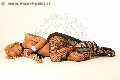 Foto Tentazioni Hot Trans Roma Robby 3336677555 - 5
