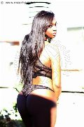 Foto Tentazioni Hot Trans Roma Thais Gamma 3774224303 - 44
