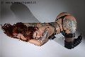 Foto Tentazioni Hot Trans Torino Foxxy Jasmine 3472169085 - 16