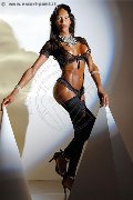 Foto Tentazioni Hot Trans Vercelli Alessandra Gatta Nera 3488811524 - 169
