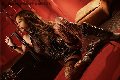 Foto Tentazioni Hot Transescort Jennifer Only 3384041517 - 23