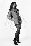 Foto Tentazioni Hot Transescort Karlsruhe La Black Star Jussara Carioca 004915205446913 - 6